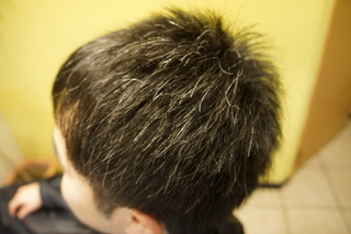 DSC06270.JPG