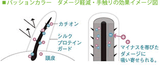 img1.gif